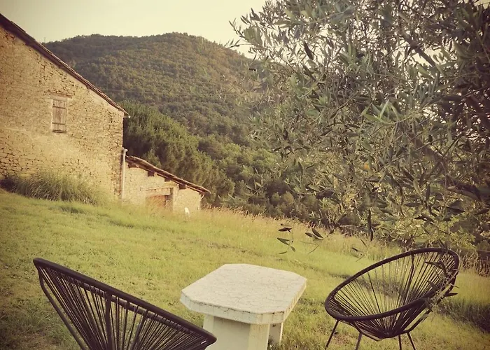 Campagne En Haute Provence * Champtercier